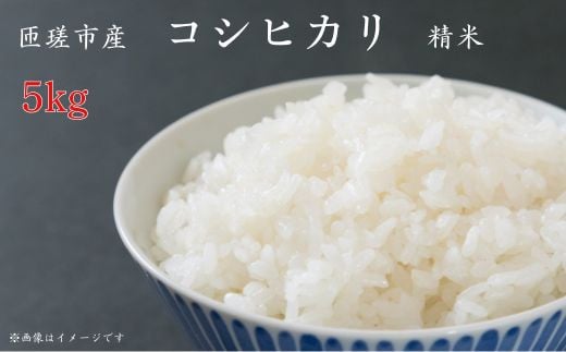 匝瑳市産 コシヒカリ 精米 5kg / 米 こめ コメ コシヒカリ こしひかり 5kg 産地直送 2116513 - 千葉県匝瑳市
