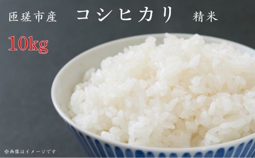 匝瑳市産 コシヒカリ 精米 10kg / 米 こめ コメ コシヒカリ こしひかり 10kg 産地直送 2116514 - 千葉県匝瑳市