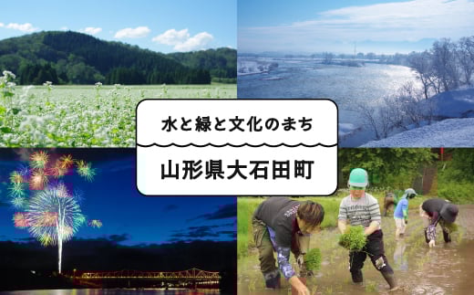 山形県大石田町のふるさと納税 尾花沢すいか 大玉  6L×1玉 2025年産 令和7年産  すいか スイカ  ja-suooa6