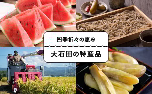 山形県大石田町のふるさと納税 尾花沢すいか 大玉  3L×1玉 2025年産 令和7年産  すいか スイカ ja-suooa3