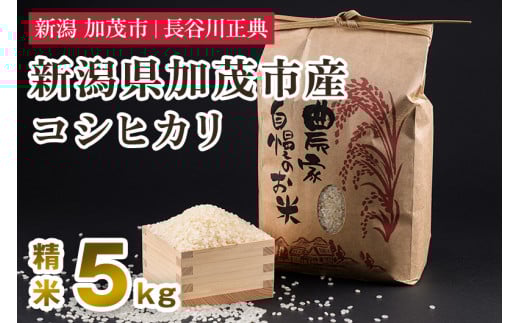 新潟県加茂市産コシヒカリ 精米 5kg 新潟米 お米 白米 ご飯 ライス こしひかり 加茂市 長谷川正典