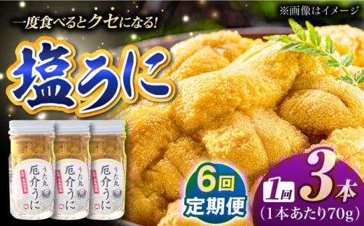 【全6回定期便】厄介うに ガンガゼの塩うに 70g×3本 / ウニ 雲丹 五島市 / うた丸 [PGA004]