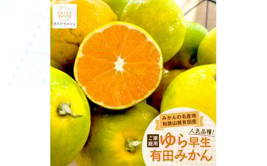 ［先行予約］ご家庭用 ゆら早生有田みかん約5kg［2025年10月上旬より発送］［訳あり］［MS27］ 956594 - 和歌山県九度山町