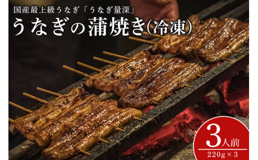 【TVで紹介されました】 うなぎ 3人前セット 土用の丑の日 ウナギ うなとろ おすすめ 蒲焼き 蒲焼 国産 解凍 冷凍 加工品 土用 丑の日 お歳暮 お中元 お祝い 笠間市 茨城県 とろろ 老舗 贈答 贈り物 真空パック 262805 - 茨城県笠間市