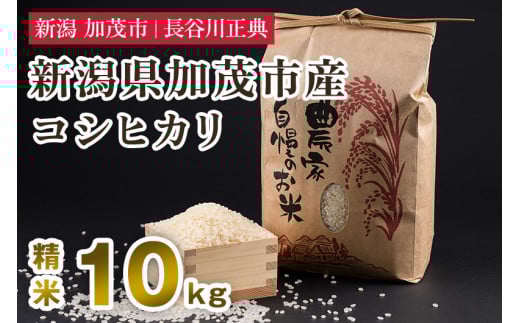 新潟県加茂市産コシヒカリ 精米 10kg 新潟米 お米 白米 ご飯 ライス こしひかり 加茂市 長谷川正典