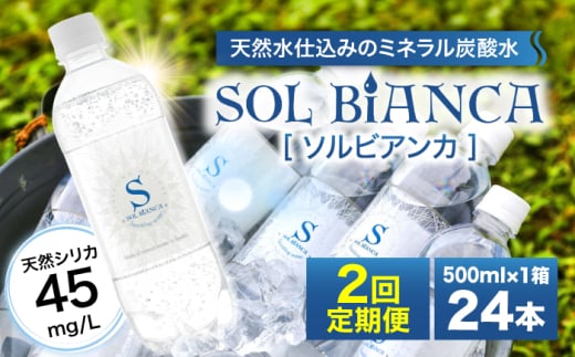 [全2回定期便]シリカ炭酸水 ソルビアンカ 500ml×24本 日田市 / 株式会社OTOGINO [AREF101]