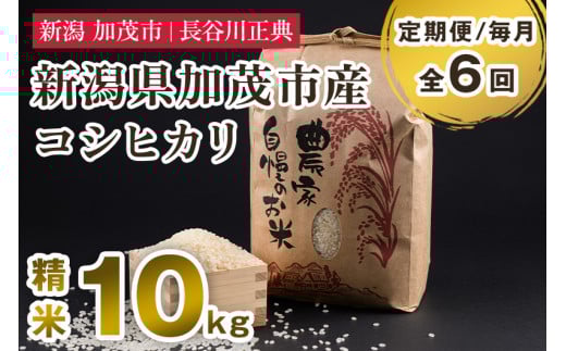 【定期便6ヶ月毎月お届け】新潟県加茂市産コシヒカリ 精米 10kg 新潟米 お米 白米 ご飯 ライス こしひかり 加茂市 長谷川正典