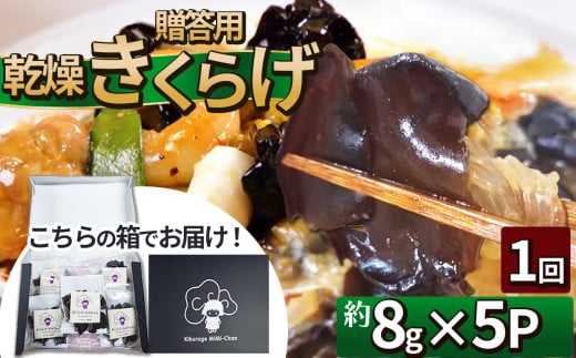 贈答用乾燥きくらげ 8g×5P ともちゃん農園 | 贈答用 乾燥 きくらげ 食物繊維 鉄分 カルシウム ビタミンD カリウム アミノ酸  高血圧予防 ふるさと 納税栃木県 那珂川町
