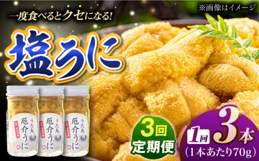 【全3回定期便】厄介うに ガンガゼの塩うに 70g×3本 / ウニ 雲丹 五島市 / うた丸 [PGA003]