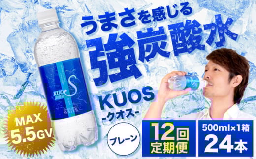 ※削除予定[全12回定期便]強炭酸水クオス プレーン 500ml×24本 日田市 / 株式会社OTOGINO [AREF089]