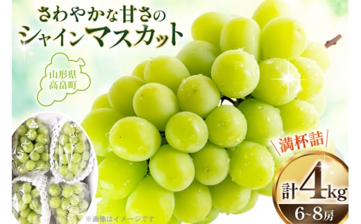 【期間限定発送】 シャインマスカット 山形県産シャインマスカット 4kg (6〜8房) [本田農園 山形県 高畠町 tk06ays820005] シャイン マスカット ぶどう 葡萄 ブドウ 果物 くだもの フルーツ 種無し