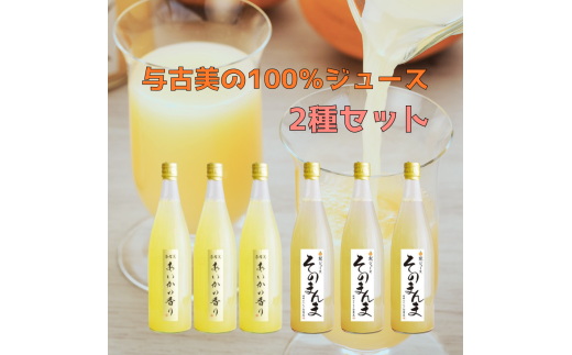 【010-96】与古美の100%ジュース2種各3本セット(リンゴ・梨) 2071467 - 長野県伊那市