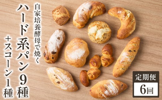 【全6回定期便】自家培養酵母で焼くハード系パン9種＋スコーン1種セット！ハード系 パン スコーン 自然素材「Boulangerie Faveur」京都府 木津川市【065-04-T03】