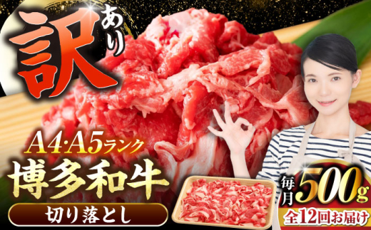 【全12回定期便】【訳あり】【A4〜A5ランク】博多和牛 切り落とし 500g《豊前市》【株式会社木村食品】国産 黒毛和牛 牛丼 肉じゃが [VDZ047] 2107475 - 福岡県豊前市