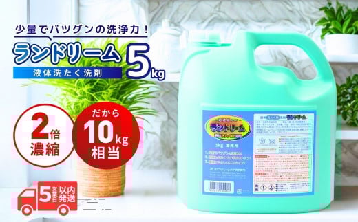 洗濯洗剤 ランドリーム 5kg (5kg×1個) 業務用 詰め替え | 濃縮洗剤 洗濯 洗剤 液体 洗濯用洗剤 洗濯用 環境配慮 詰替え 詰め替え用 大容量 衣類洗剤 衣類用洗剤 液体洗剤 業務用洗剤 日常品 洗浄 エコ洗剤 泡切れが良い ランドリー 柔軟剤 店舗用 エコ すすぎ１回 節水 節約 茨城県 龍ケ崎市