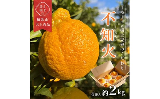 先行受付　不知火　希少な樹上完熟!　秀品大玉　6個入 ※2026年2月下旬～3月下旬頃に順次発送予定