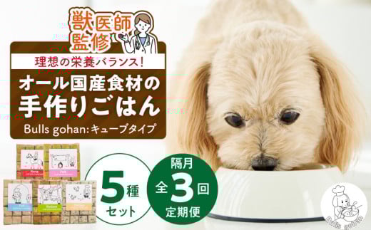 【定期便：隔月3回お届け！】ペットフード　無添加ドッグフード・ブルズごはんCUBEタイプ　300g×5袋（馬・豚・鹿・鶏・魚）_定期便 無添加 ドッグ フード 隔月 計3回 馬肉 チーズ 豚肉 鹿肉 魚 野菜 鶏 ダシ 雑炊風 5種類 CUBEタイプ 国産 食材 手作り ごはん 混ぜるだけ ローテーション 成犬 シニア犬 愛犬 ペット 冷凍 お取り寄せ 福岡県 久留米市 送料無料_Tk040
