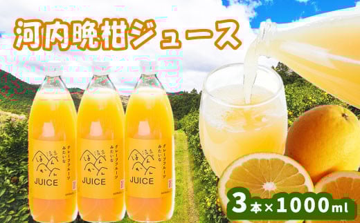 河内晩柑ストレートジュース 3本×1000ml 100% 河内晩柑 愛南ゴールド ジュース 柑橘 蜜柑 かんきつ 冬 秋 旬 正月 おすそ分け シェア 愛媛 愛媛県 愛南町 お歳暮 プレゼント ギフト 高級 くだもの ジュース 果物 フルーツ スイーツ ジュース おやつ お菓子 和菓子 清家ばんかんビレッジ