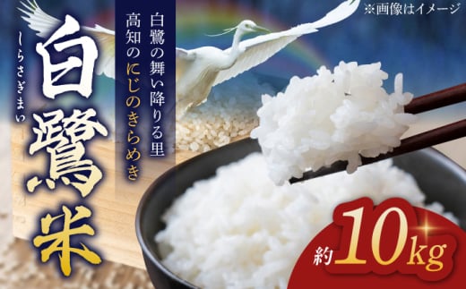 【先行予約】 農薬節減！ 白鷺米 にじのきらめき 約10kg ＜2025年9月〜発送＞ / 高知 米 お米 精米 　【津ノ宮農園】 [ATBV016]