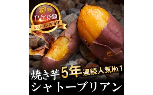 ＜最高糖度50度＞ひた隠しにしてきた100日熟成ギリギリまで糖化シャトーブリアン焼き芋12月下旬発送【1586921】