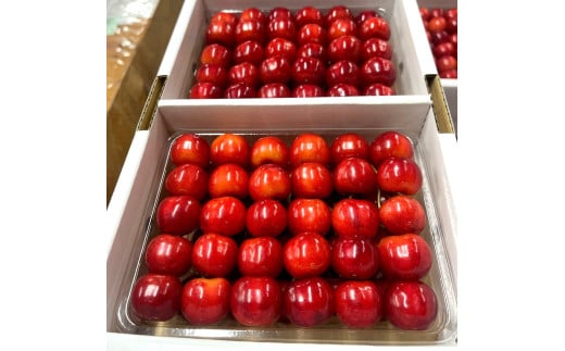 さくらんぼ（紅秀峰）４００ｇ×２パック　２Ｌ　並び詰め　0049-2506