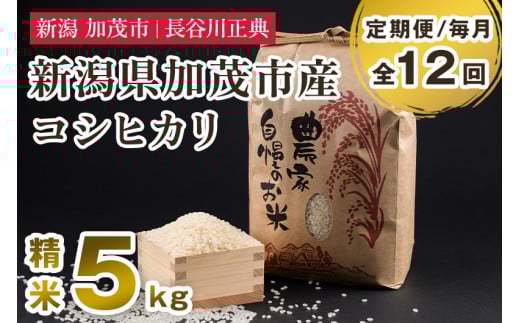 【定期便12ヶ月毎月お届け】新潟県加茂市産コシヒカリ 精米 5kg 新潟米 お米 白米 ご飯 ライス こしひかり 加茂市 長谷川正典