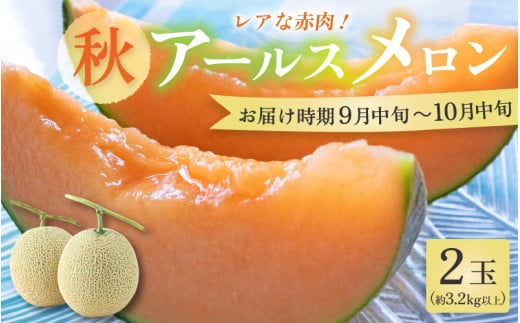 【先行予約】【赤肉】秋 アールスメロン 2玉（計約3.2kg以上）赤肉品種 高級メロン！ ／ マスクメロン 大玉 果物 フルーツ 夏 ギフト 農家直送  ※2025年9月中旬以降発送 [aw065-a011] 1098683 - 福井県あわら市