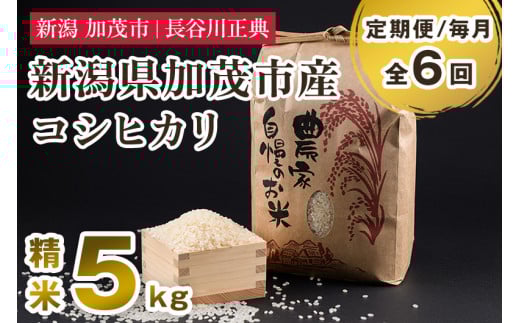 【定期便6ヶ月毎月お届け】新潟県加茂市産コシヒカリ 精米 5kg 新潟米 お米 白米 ご飯 ライス こしひかり 加茂市 長谷川正典