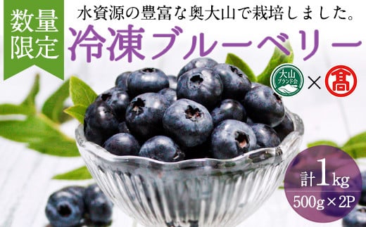 ＜数量限定＞冷凍ブルーベリー(500g×2P・計1kg) 【T-BI4】【大山ブランド会】 1414888 - 鳥取県境港市