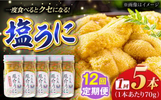 【全12回定期便】厄介うに ガンガゼの塩うに 70g×5本 / ウニ 雲丹 五島市 / うた丸 [PGA008]