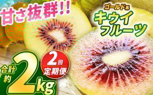 【2025年先行予約】【定期便2回】甘さ抜群のゴールド系 キウイフルーツ 約1kg | 果物 くだもの フルーツ 野菜 やさい ヤサイ キウイ きうい ゴールドキウイ ごーるどきうい 新鮮 フレッシュ 甘い 美味しい フルーツ デザート 栃木県 那珂川町 送料無料