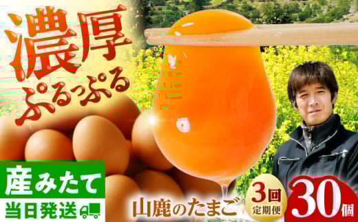 [全3回定期便] たまご 30個 約2kg[マツヤマエッグファーム] 