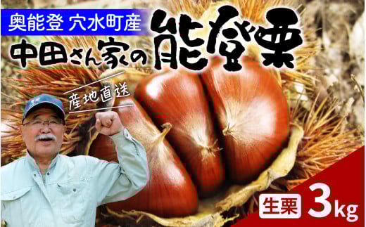 【先行予約】中田農園の能登栗 3kg ~奥能登の大地で育った能登栗~【2025年9月以降順次発送】 1302351 - 石川県穴水町