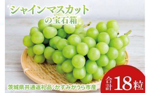 【先行予約】【お歳暮】シャインマスカットの宝石箱18粒（茨城県共通返礼品：かすみがうら市）|プレゼント 贈答 贈り物 ぶどう 葡萄 ブドウ マスカット 茨城県 大子町（CD189）