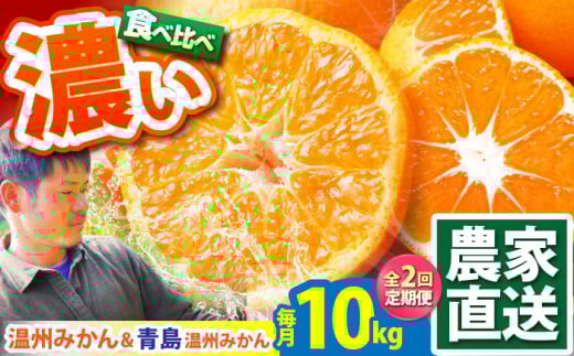 【2回定期便】温州みかん 食べ比べ 10kg×2回 / みかん 青島みかん ミカン 蜜柑 甘い フルーツ 果物 / 南島原市 / 蜜柑屋まつお [SCQ004]