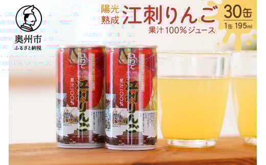 陽光熟成江刺りんごジュース (195ml×30缶) 江刺産サンふじ使用 ストレート果汁100％ [A0048] 529485 - 岩手県奥州市