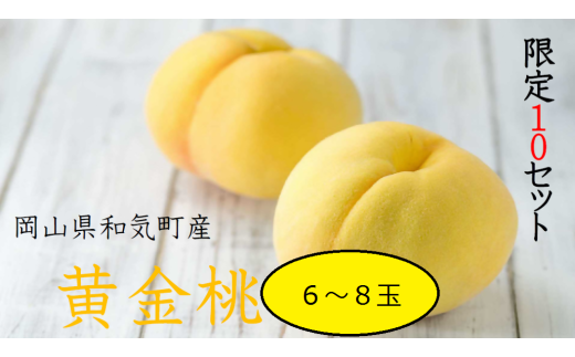 Cz-20 黄金桃(6~8個・約2.0kg)化粧箱入り 2107966 - 岡山県和気町