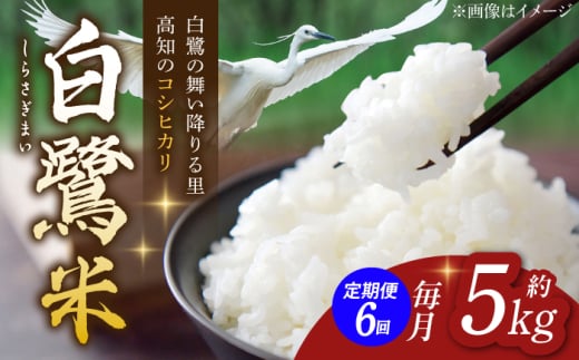 【6回定期便】 農薬節減！ 白鷺米 コシヒカリ 約5kg / 高知 米 お米 精米 　【津ノ宮農園】 [ATBV013]
