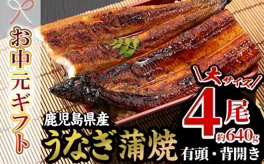 【令和7年お中元対応】厳選！ 国産 鹿児島県産 うなぎ 蒲焼 4尾 大 合計約640g 鰻養殖生産量日本一 鹿児島県産新仔うなぎ使用 こだわりの地焼き！ 冷凍うなぎ 秘伝のタレ 付き うな重 うな丼 きざみ鰻 うなぎのせいろ蒸し弁当にもオススメ！ 贈答 ギフト にも！【南竹鰻加工】【TC-012H】