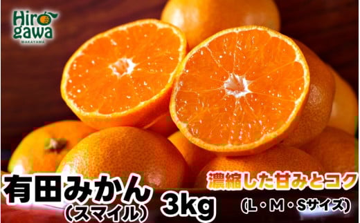 有田 みかん 3kg 秀品 / 温州みかん 有田みかん 甘い 和歌山 柑橘 ※11月下旬～1月中旬に順次発送 【sml004-r-3A】 1301329 - 和歌山県広川町