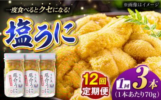 【全12回定期便】厄介うに ガンガゼの塩うに 70g×3本 / ウニ 雲丹 五島市 / うた丸 [PGA005]