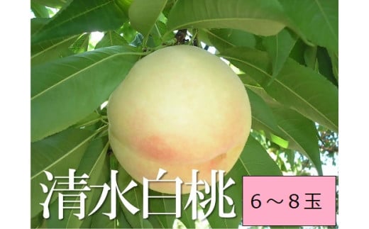 FF-34   清水白桃（6～8個・約2.0kg）化粧箱入り