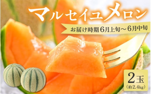 【先行予約】マルセイユメロン 2玉 約2.4kg（約1.2kg以上×2玉）大人気の赤肉品種！高級メロンの味わい ／ 果物 フルーツ ギフト 農家直送 ※2025年6月上旬以降順次発送 [aw065-a005] 414844 - 福井県あわら市