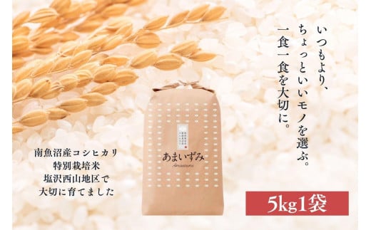 【令和7年産新米予約】【白米】令和7年度産 あまいずみ 南魚沼産コシヒカリ 5kg【2025年10月上旬より順次発送予定】 1610935 - 新潟県南魚沼市