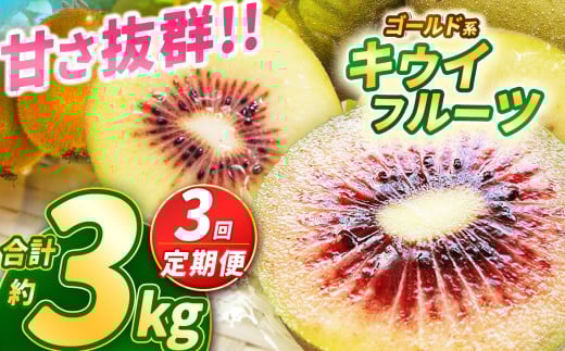 【2025年先行予約】【定期便3回】甘さ抜群のゴールド系 キウイフルーツ 1kg | 果物 くだもの フルーツ 野菜 やさい ヤサイ キウイ きうい ゴールドキウイ ごーるどきうい 新鮮 フレッシュ 甘い 美味しい フルーツ デザート 栃木県 那珂川町 送料無料