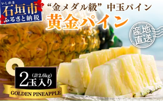 【先行予約】石垣島産 中玉 黄金パイン ２玉 合計約2.6kg《2025年夏季 順次発送》【 産地直送 沖縄 石垣 フルーツ パイナップル パイン 黄金パイン 】 SI-120