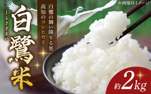 【先行予約】 農薬節減！ 白鷺米 コシヒカリ 約2kg ＜2025年9月〜発送＞ / 高知 米 お米 精米 　【津ノ宮農園】 [ATBV018]