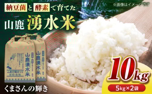 【先行予約】《2025年10月より順次発送》 こば農園のお米 くまさんの輝き 『山鹿湧水米』 白米 10kg 【合同会社 こば農園】 [ZFO003]