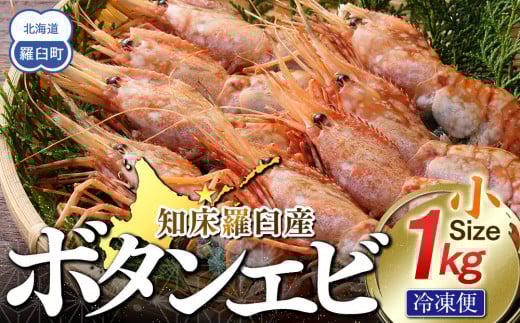 知床羅臼ボタンエビ(小) 1kg えび 海老 羅臼町 北海道 魚介 海産物 刺身 海鮮丼 天ぷら 冷凍 生産者 支援 応援