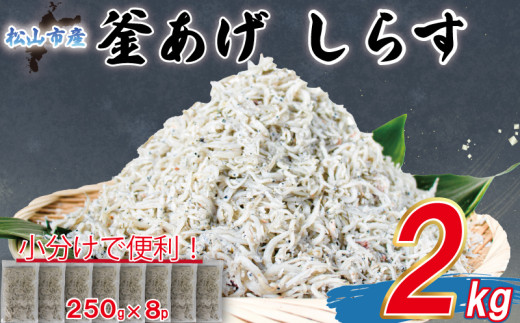 【訳あり】 釜揚げ しらす 2kg |  訳ありしらす 不揃いシラス 国産しらす 冷凍シラス 釜揚げしらす シラス丼 海の幸 松山市産しらす 愛媛県産シラス しらす シラス 釜揚げしらす 惣菜 弁当 簡単調理 ごはんのお供 加工品  海の幸 しらす丼 グルメ 食品 魚介 小魚 魚 鮮魚 海鮮  シラス 卵 たまご 訳あり商品  愛媛県 松山市